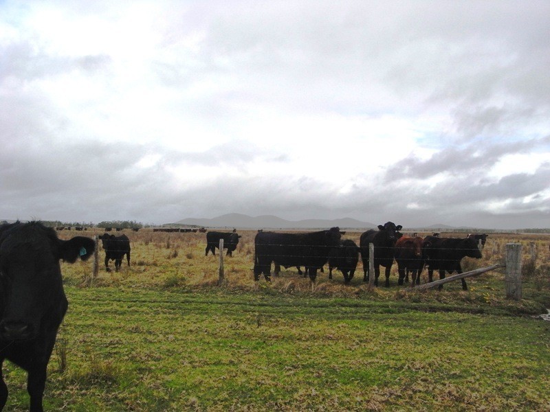 Kempsey NSW 2440