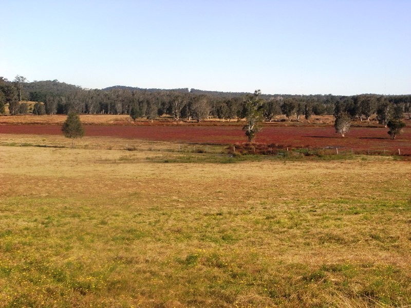 . Macleay Street, Kempsey NSW 2440