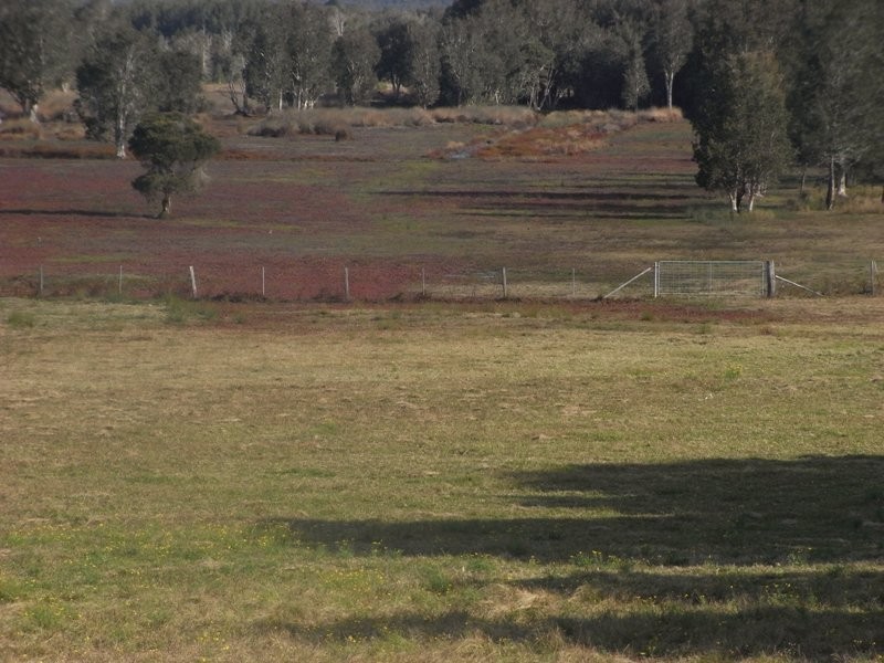 . Macleay Street, Kempsey NSW 2440