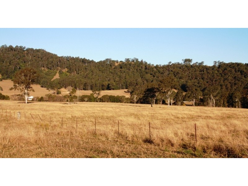 Gum Scrub NSW 2441