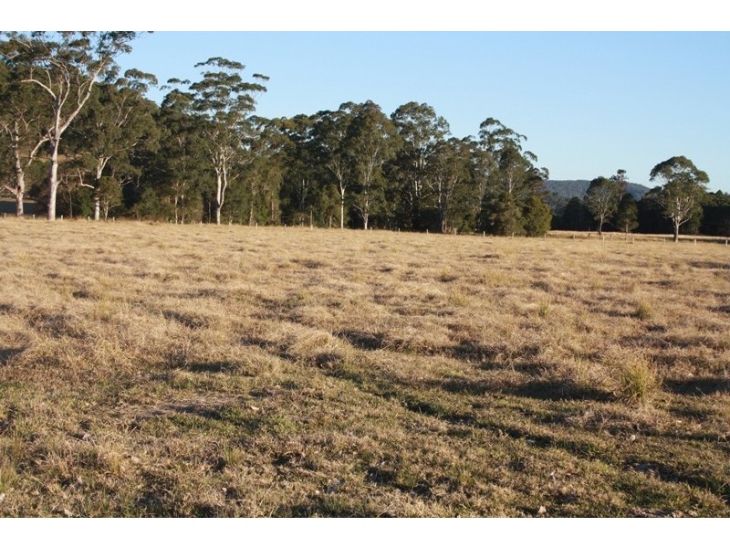 Gum Scrub NSW 2441