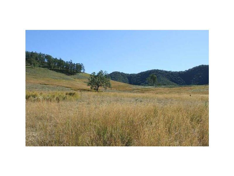 52 Lucys Ridge, McKenzie Creek, Bellbrook NSW 2440