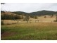 Willi Willi NSW 2440