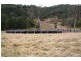 Willi Willi NSW 2440