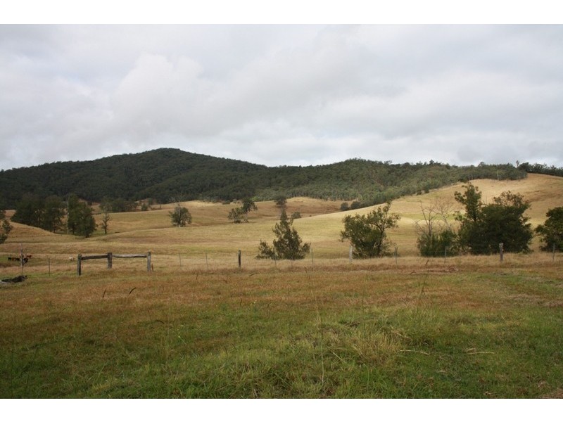 Willi Willi NSW 2440