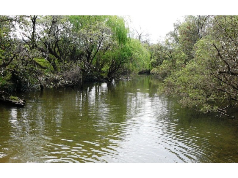 Taylors Arm NSW 2447