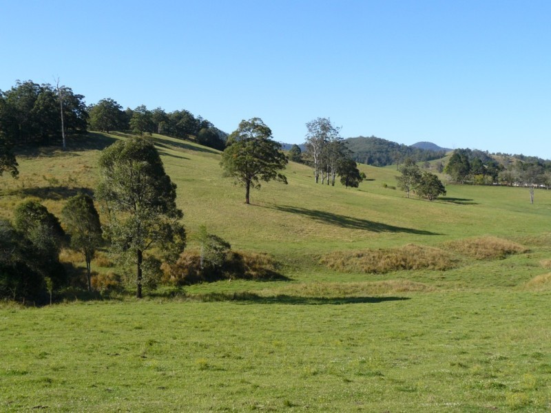 Taylors Arm NSW 2447