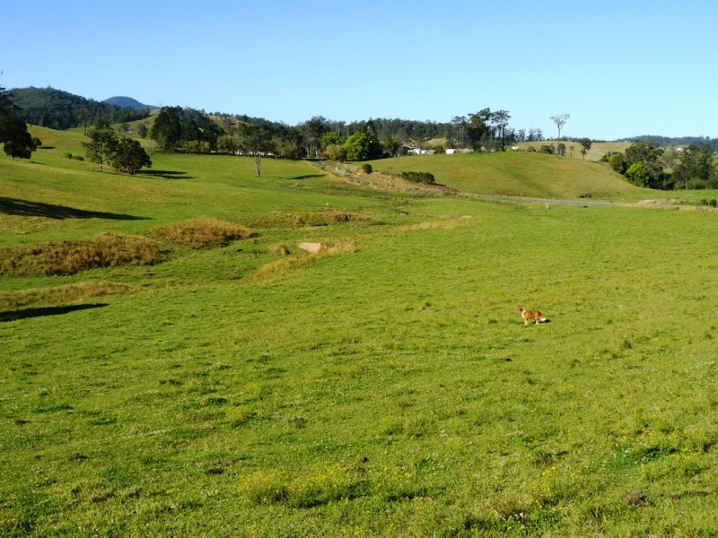 Taylors Arm NSW 2447