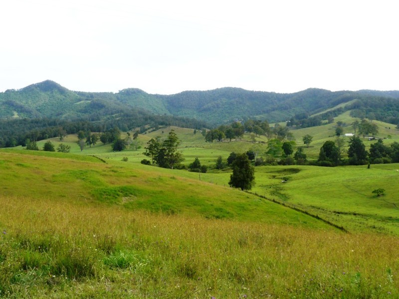 Taylors Arm NSW 2447