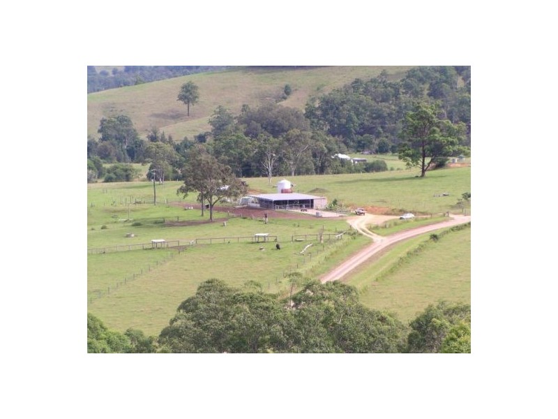 Beechwood NSW 2446