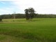 Beechwood NSW 2446