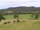 Beechwood NSW 2446