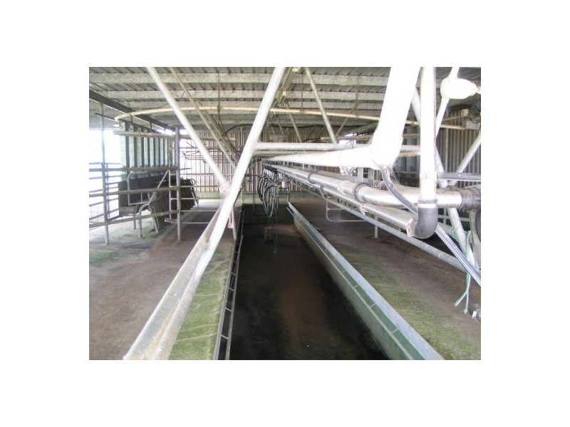 Beechwood NSW 2446