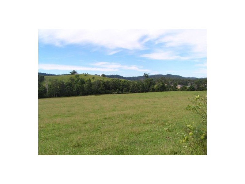 Beechwood NSW 2446