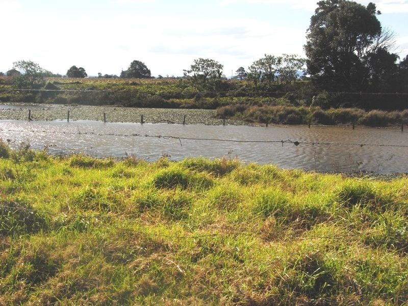 Austral Eden NSW 2440