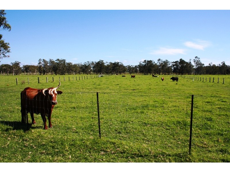 Belmore River NSW 2440