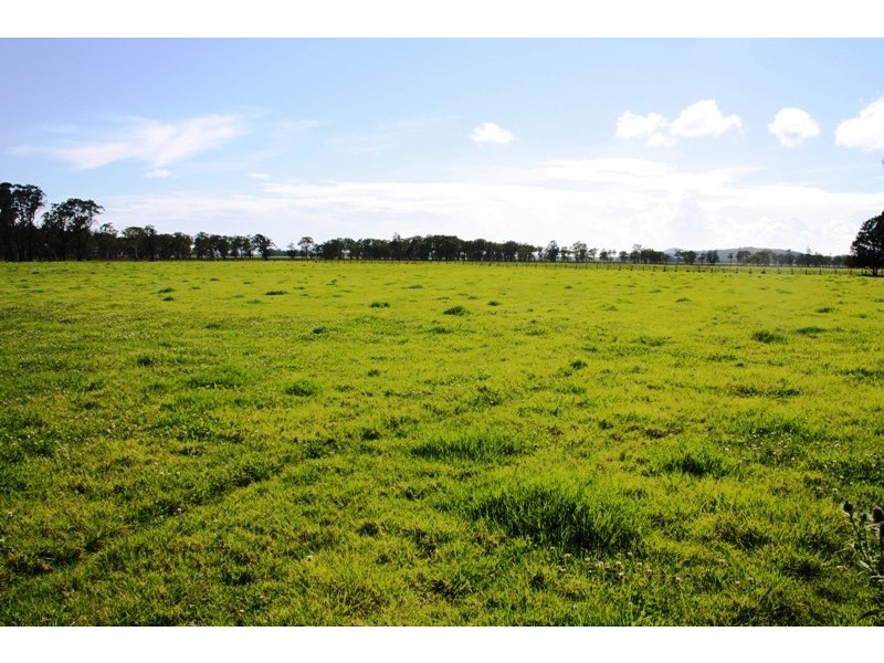 Belmore River NSW 2440