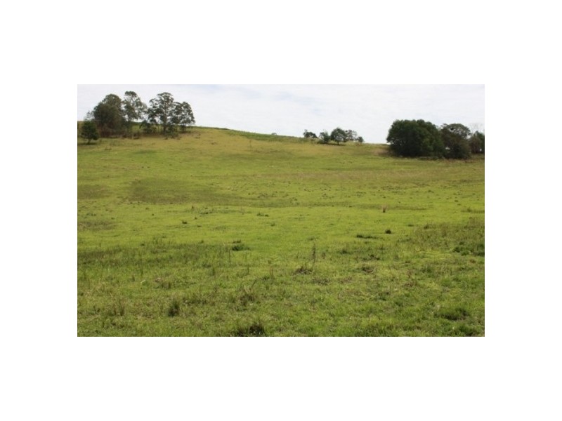 Mungay Creek NSW 2440