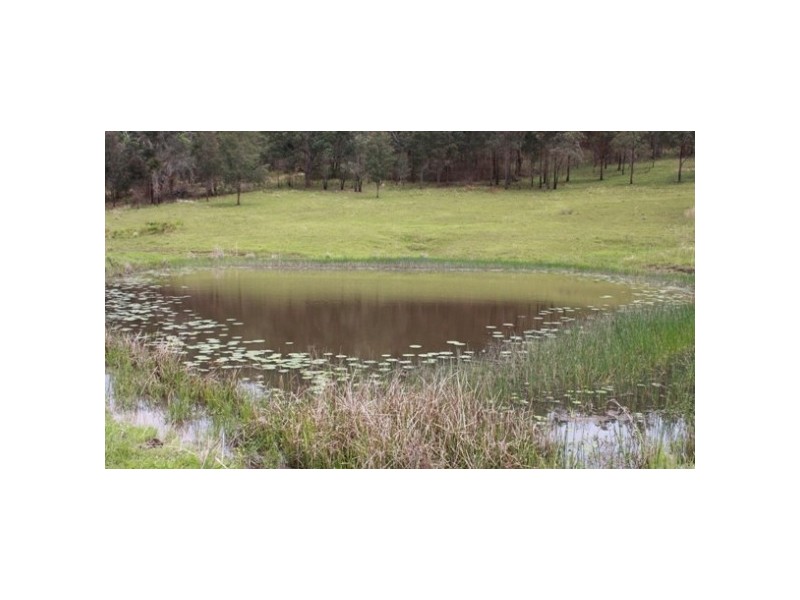 Mungay Creek NSW 2440