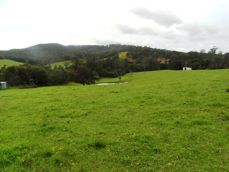 Hickeys Creek NSW 2440