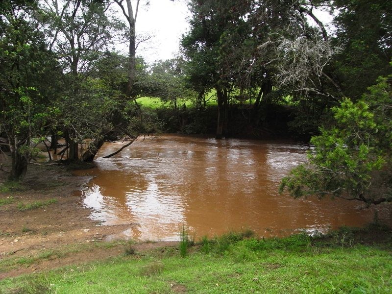 Hickeys Creek NSW 2440