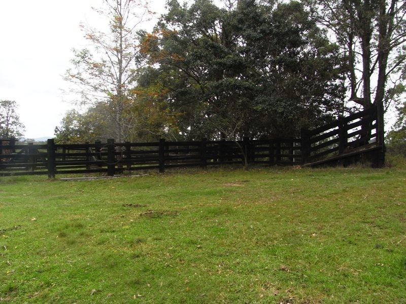 Hickeys Creek NSW 2440