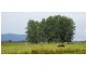 Clybucca NSW 2440