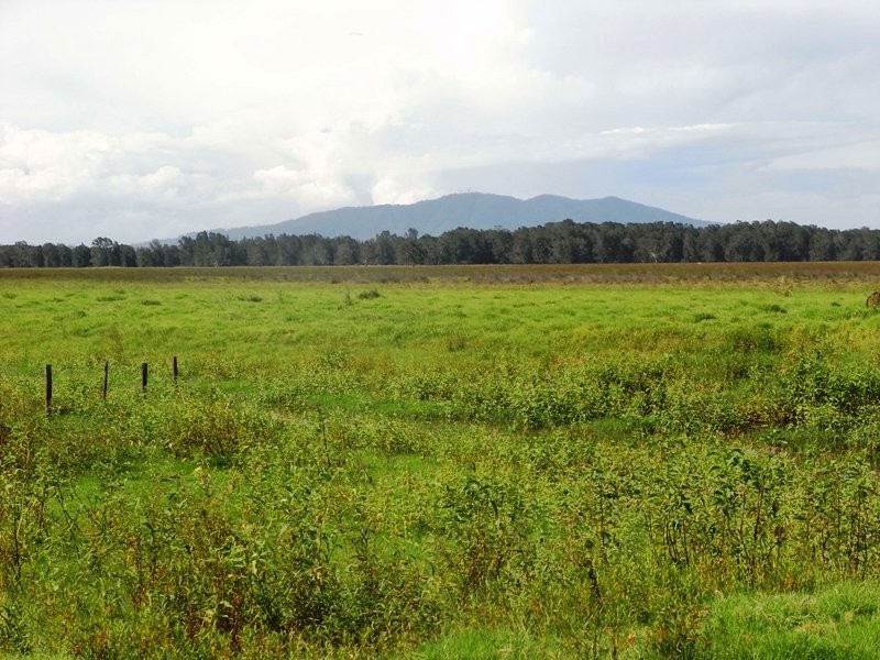 Clybucca NSW 2440