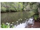 Limeburners Creek NSW 2324