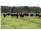 Limeburners Creek NSW 2324