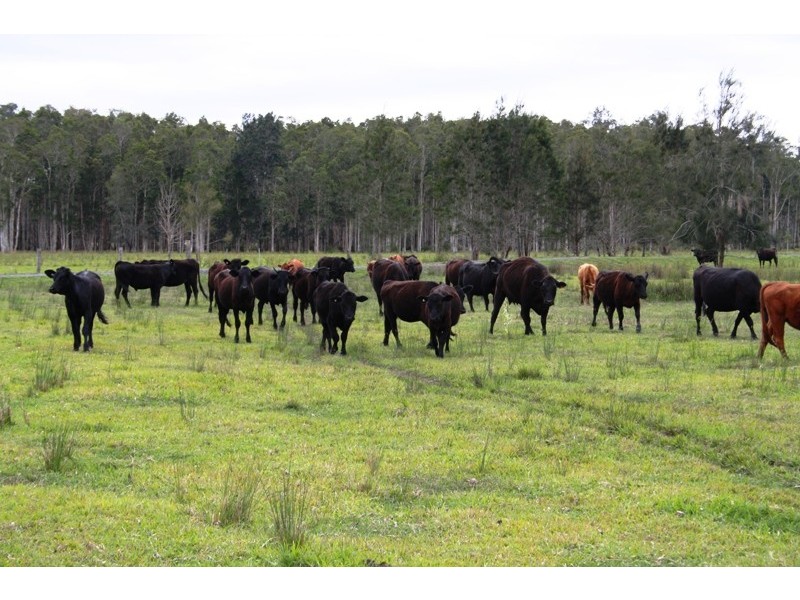 Limeburners Creek NSW 2324