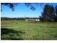 Telegraph Point NSW 2441