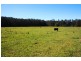 Telegraph Point NSW 2441