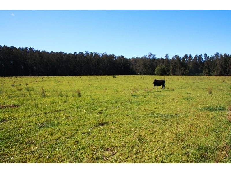 Telegraph Point NSW 2441