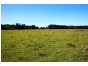 Telegraph Point NSW 2441