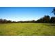 Telegraph Point NSW 2441