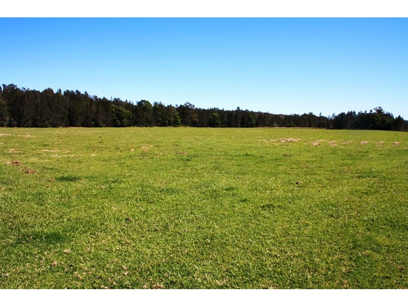 Telegraph Point NSW 2441