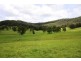 Telegraph Point NSW 2441