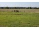 Turners Flat NSW 2440