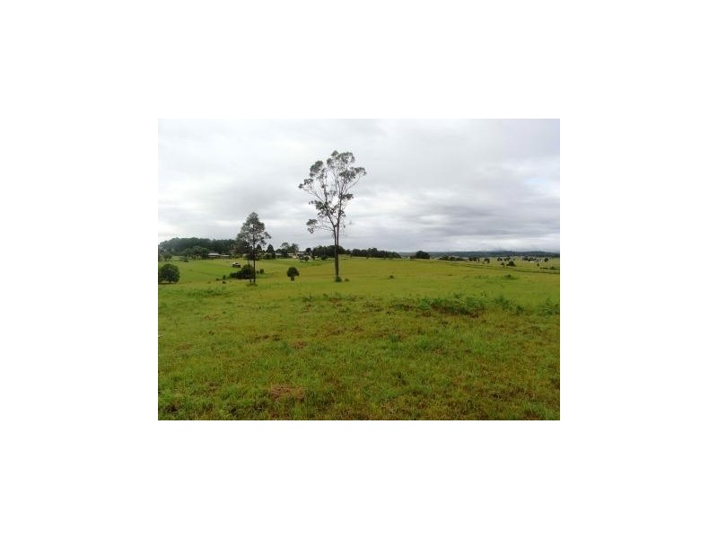 Aldavilla NSW 2440