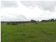 Aldavilla NSW 2440