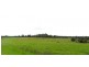 Aldavilla NSW 2440