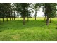 Bellimbopinni NSW 2440