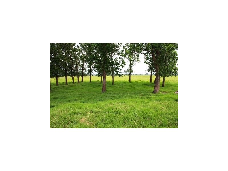 Bellimbopinni NSW 2440