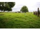 Bellimbopinni NSW 2440