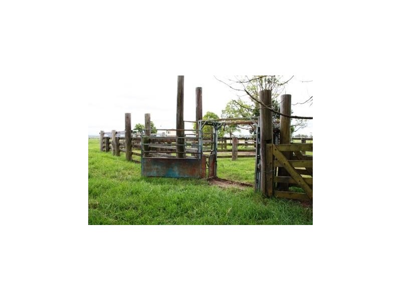 Bellimbopinni NSW 2440