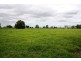 Bellimbopinni NSW 2440