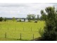 Bellimbopinni NSW 2440
