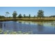 Collombatti NSW 2440