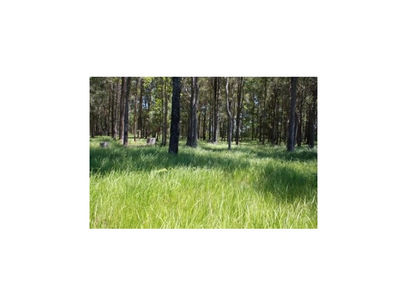 Collombatti NSW 2440